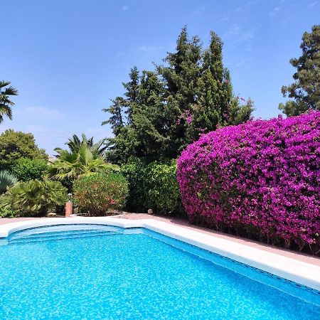 Villa With Private Pool, Bbq, Fitness Center & Sauna San Vicente Raspeig Εξωτερικό φωτογραφία