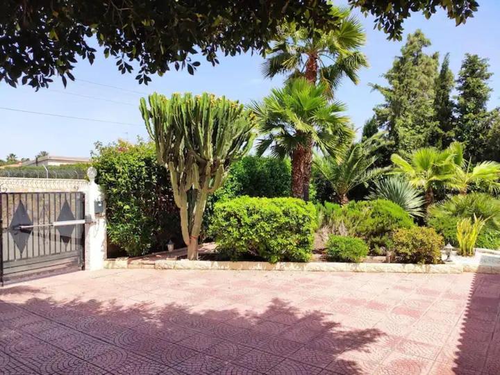 Villa With Private Pool, Bbq, Fitness Center & Sauna San Vicente Raspeig Εξωτερικό φωτογραφία